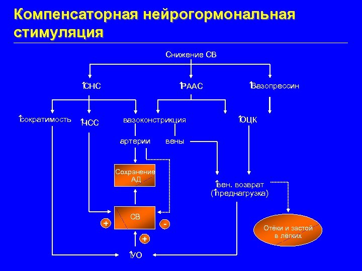 Компенсаторная нейрогормональная стимуляция Снижение СВ СНС сократимость РААС вазоконстрикция ЧСС артерии СВ вен. возврат