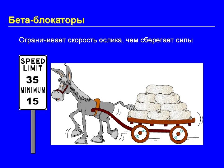 Бета-блокаторы Ограничивает скорость ослика, чем сберегает силы 