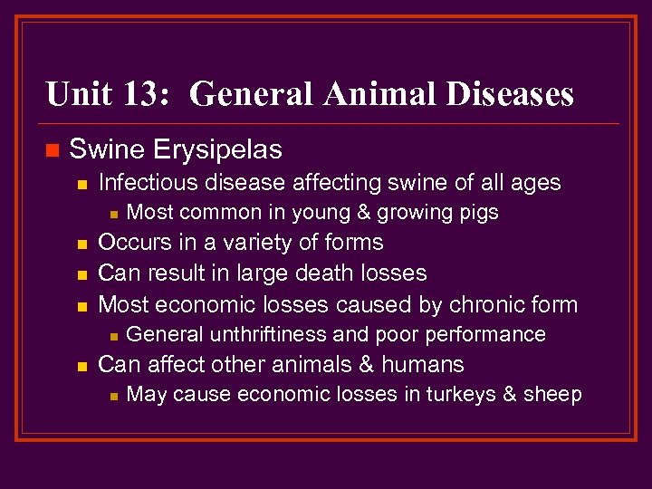 Unit 13: General Animal Diseases n Swine Erysipelas n Infectious disease affecting swine of