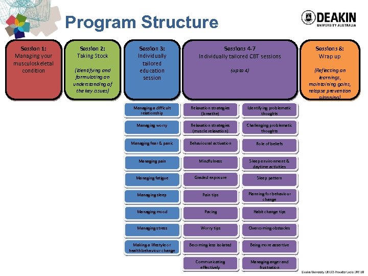 Program Structure Session 1: Managing your musculoskeletal condition Session 2: Taking Stock (Identifying and