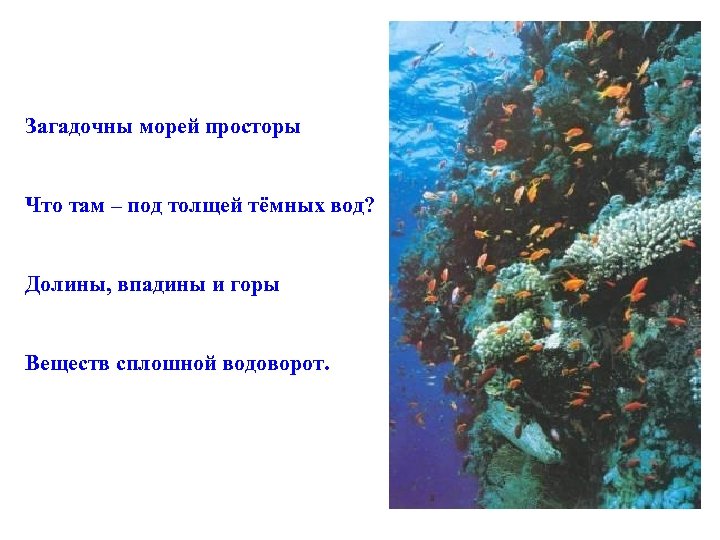 Загадочны морей просторы Что там – под толщей тёмных вод? Долины, впадины и горы