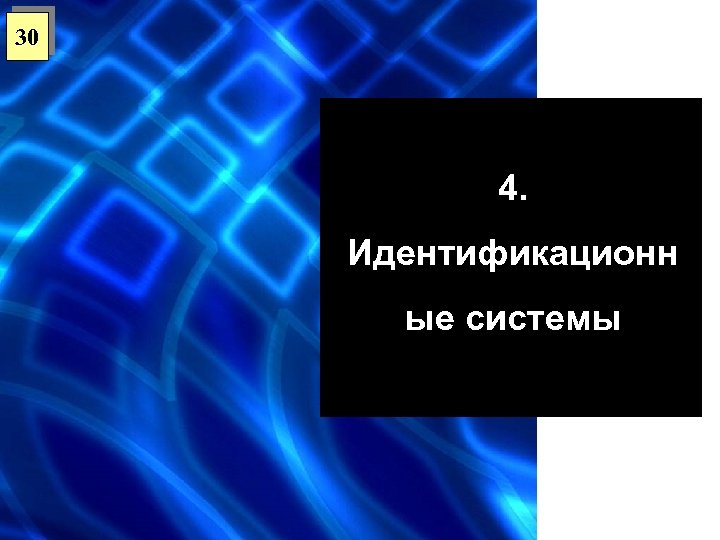 30 4. Идентификационн ые системы 