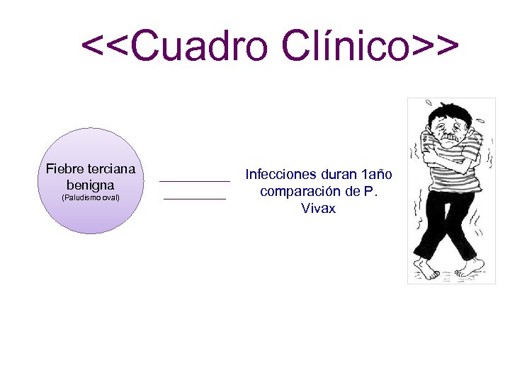 <<Cuadro Clínico>> Fiebre terciana benigna (Paludismo oval) Infecciones duran 1 año comparación de P.