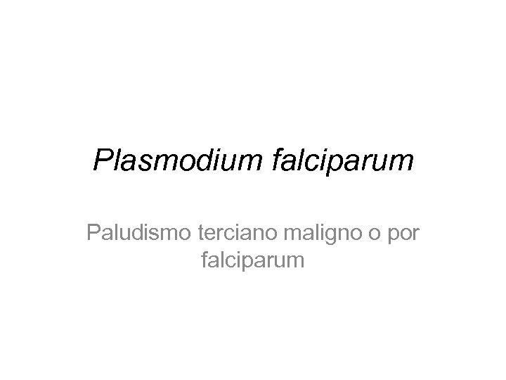 Plasmodium falciparum Paludismo terciano maligno o por falciparum 