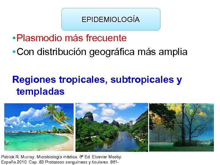 EPIDEMIOLOGÍA • Plasmodio más frecuente • Con distribución geográfica más amplia Regiones tropicales, subtropicales