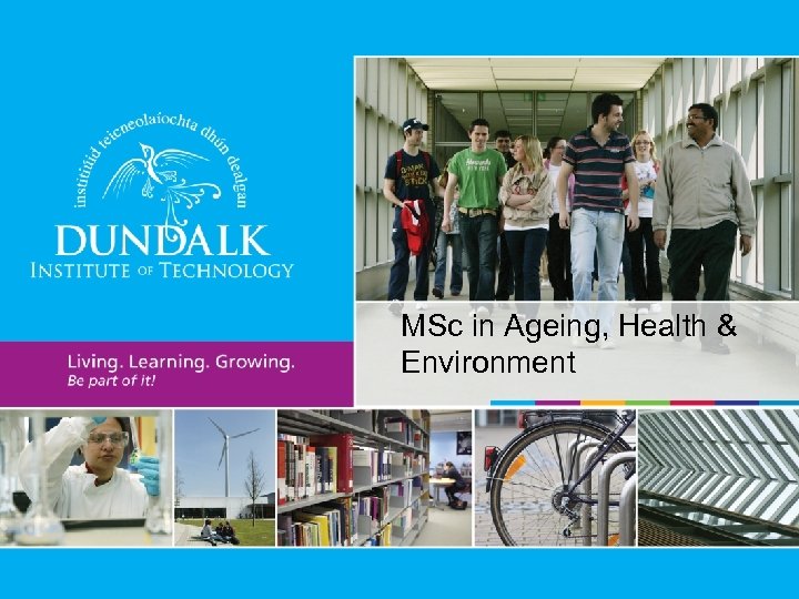 MSc in Ageing, Health & Environment 