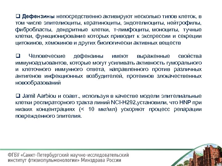 q Дефензины непосредственно активируют несколько типов клеток, в том числе эпителиоциты, кератиноциты, эндотелиоциты, нейтрофилы,