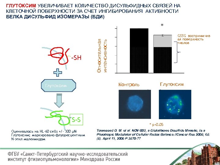 ГЛУТОКСИМ УВЕЛИЧИВАЕТ КОЛИЧЕСТВО ДИСУЛЬФИДНЫХ СВЯЗЕЙ НА КЛЕТОЧНОЙ ПОВЕРХНОСТИ ЗА СЧЕТ ИНГИБИРОВАНИЯ АКТИВНОСТИ БЕЛКА ДИСУЛЬФИД