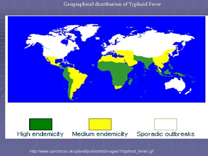 Geographical distribution of Typhoid Fever http: //www. spmsd. co. uk/upload/public/doc. Images/1/typhoid_fever. I. gif 