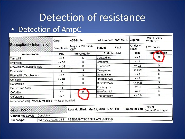 Detection of resistance • Detection of Amp. C 