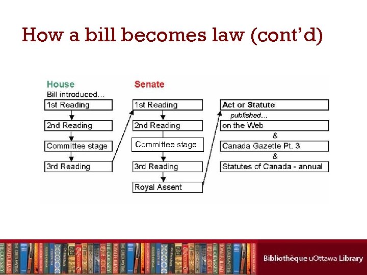 How a bill becomes law (cont’d) Committee stage 