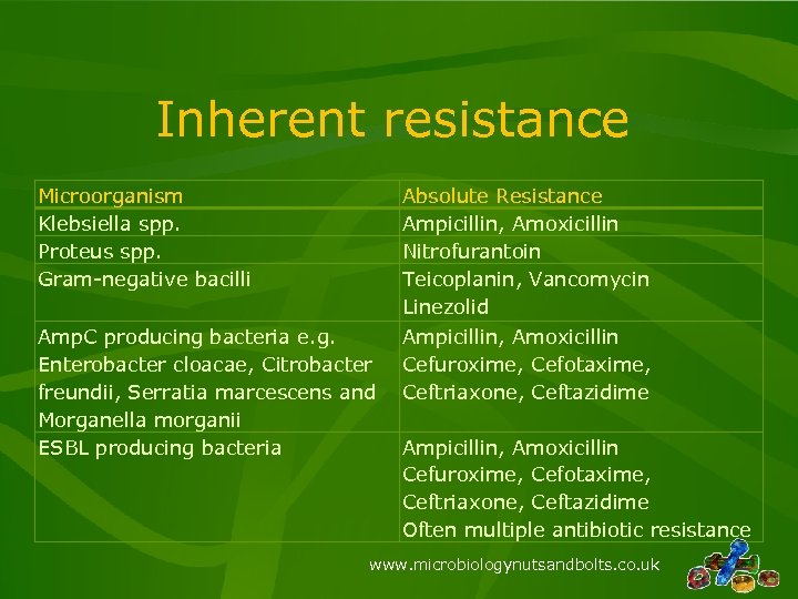 Inherent resistance Microorganism Klebsiella spp. Proteus spp. Gram-negative bacilli Absolute Resistance Ampicillin, Amoxicillin Nitrofurantoin