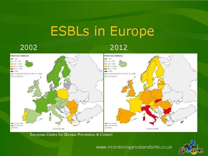 ESBLs in Europe 2002 2012 European Centre for Disease Prevention & Control www. microbiologynutsandbolts.