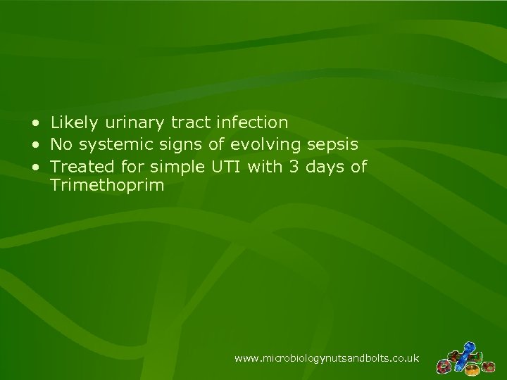  • Likely urinary tract infection • No systemic signs of evolving sepsis •