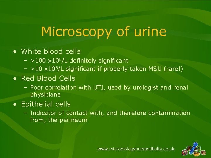 Microscopy of urine • White blood cells – >100 x 106/L definitely significant –