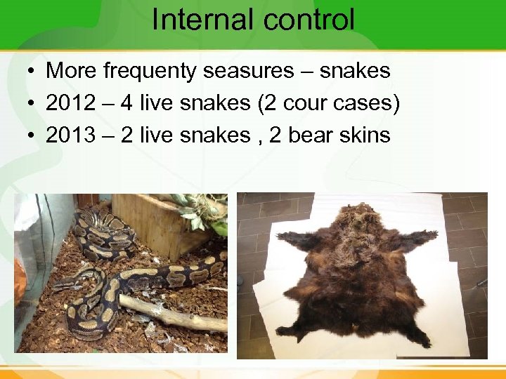 Internal control • More frequenty seasures – snakes • 2012 – 4 live snakes