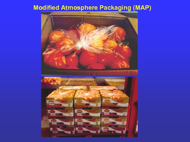 Modified Atmosphere Packaging (MAP) 