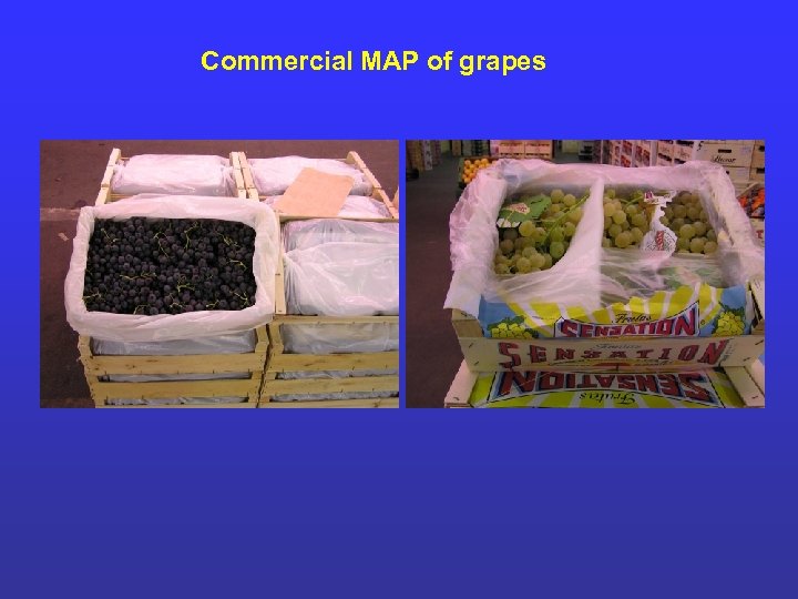 Commercial MAP of grapes 