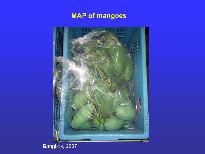 MAP of mangoes Bangkok, 2007 