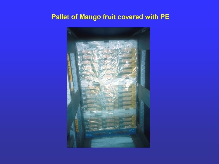 Pallet of Mango fruit covered with PE 