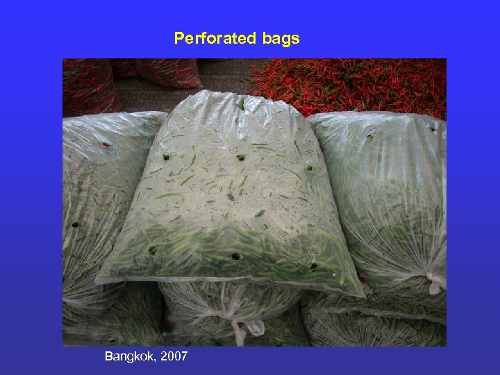 Perforated bags Bangkok, 2007 