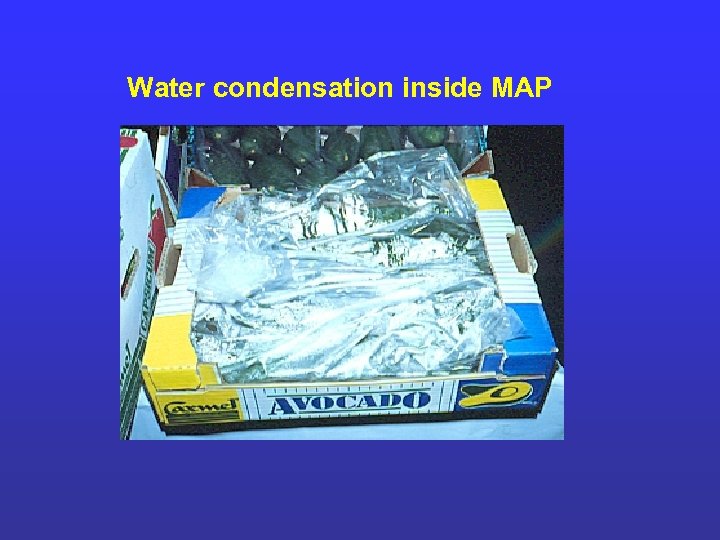 Water condensation inside MAP 