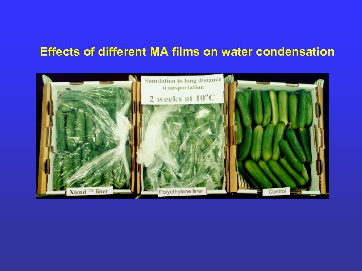 Effects of different MA films on water condensation 