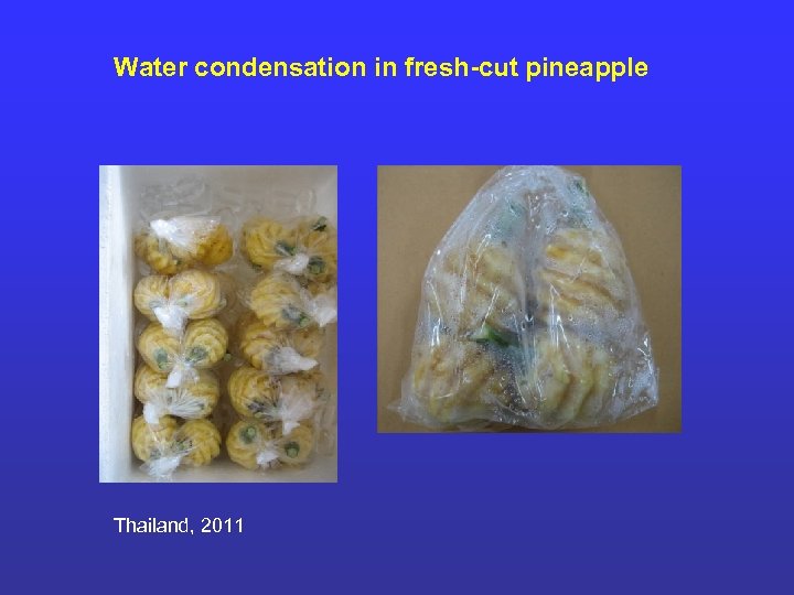 Water condensation in fresh-cut pineapple Thailand, 2011 