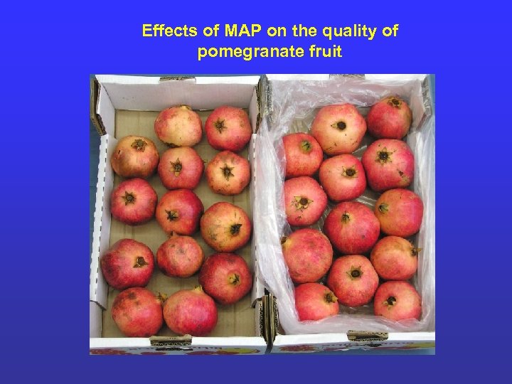 Effects of MAP on the quality of pomegranate fruit 