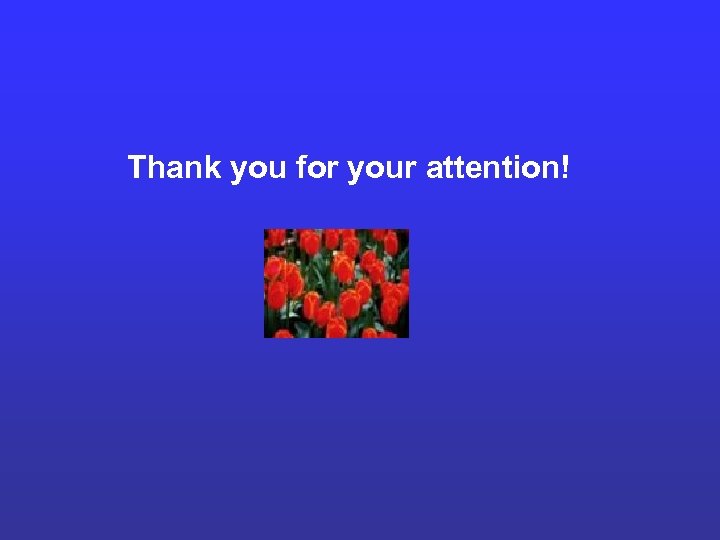 Thank you for your attention! 