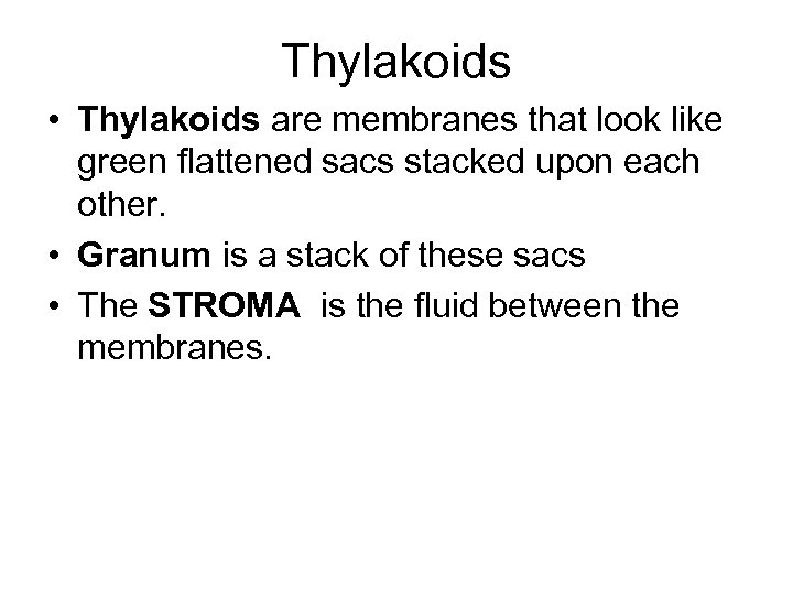 Thylakoids • Thylakoids are membranes that look like green flattened sacs stacked upon each