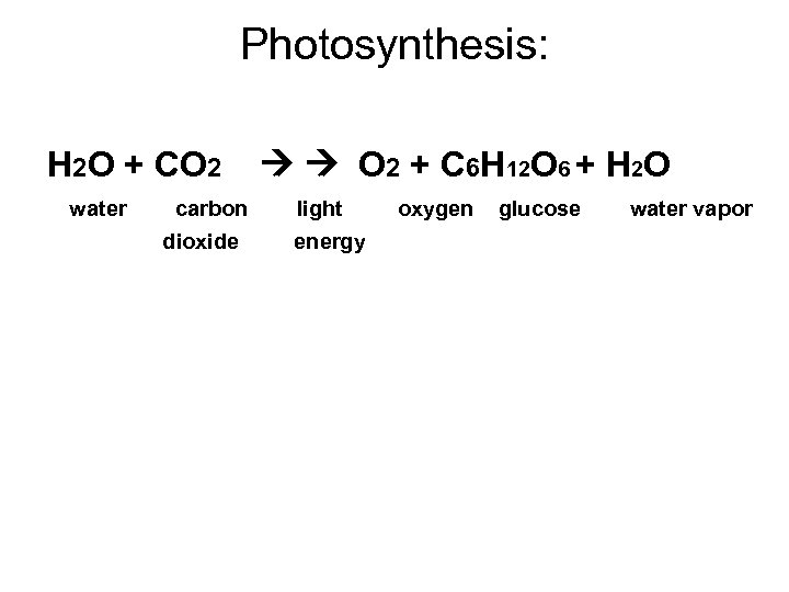 Photosynthesis: H 2 O + CO 2 water carbon dioxide O 2 + C