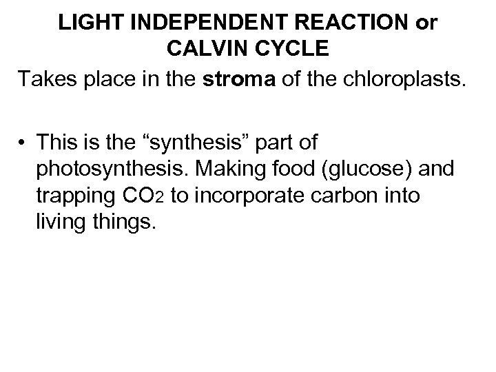 LIGHT INDEPENDENT REACTION or CALVIN CYCLE Takes place in the stroma of the chloroplasts.