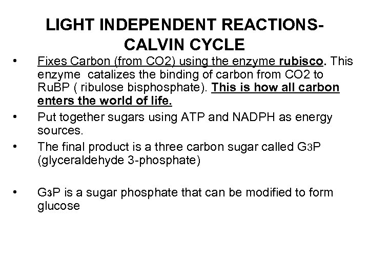  • • LIGHT INDEPENDENT REACTIONSCALVIN CYCLE Fixes Carbon (from CO 2) using the