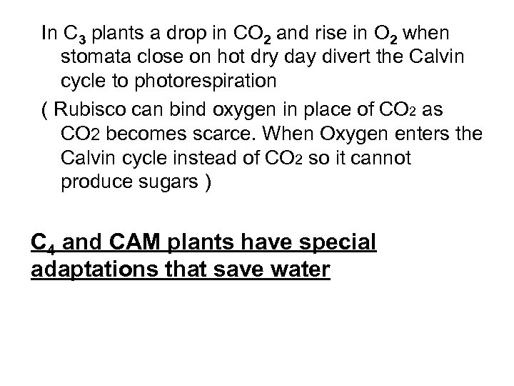 In C 3 plants a drop in CO 2 and rise in O 2