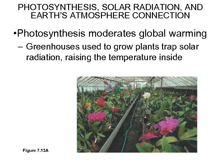 PHOTOSYNTHESIS, SOLAR RADIATION, AND EARTH’S ATMOSPHERE CONNECTION • Photosynthesis moderates global warming – Greenhouses
