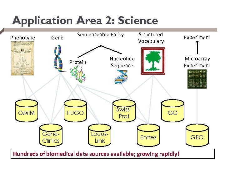 Application Area 2: Science Phenotype Gene Sequenceable Entity Microarray Experiment Swiss. Prot HUGO Gene.