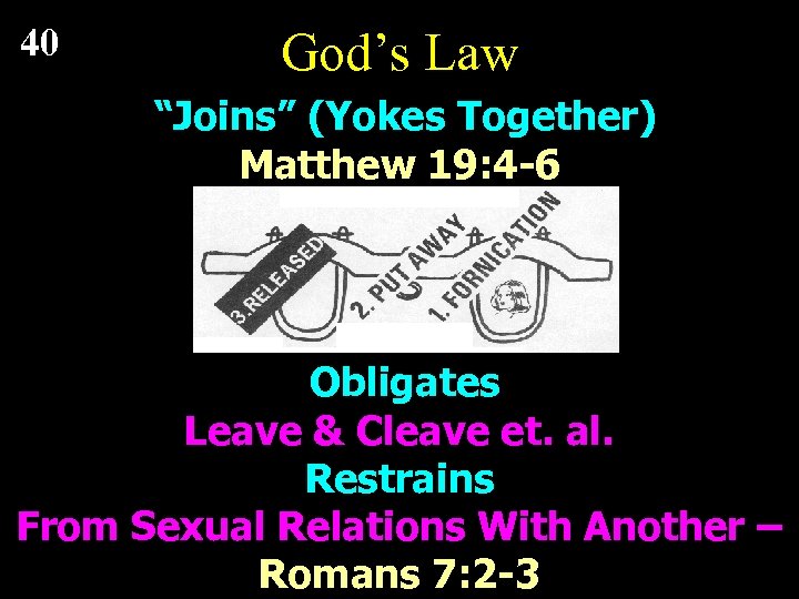 40 God’s Law “Joins” (Yokes Together) Matthew 19: 4 -6 Obligates Leave & Cleave