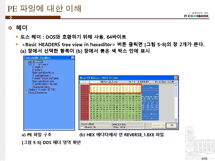 PE 파일에 대한 이해 v 헤더 § 도스 헤더 : DOS와 호환하기 위해 사용,