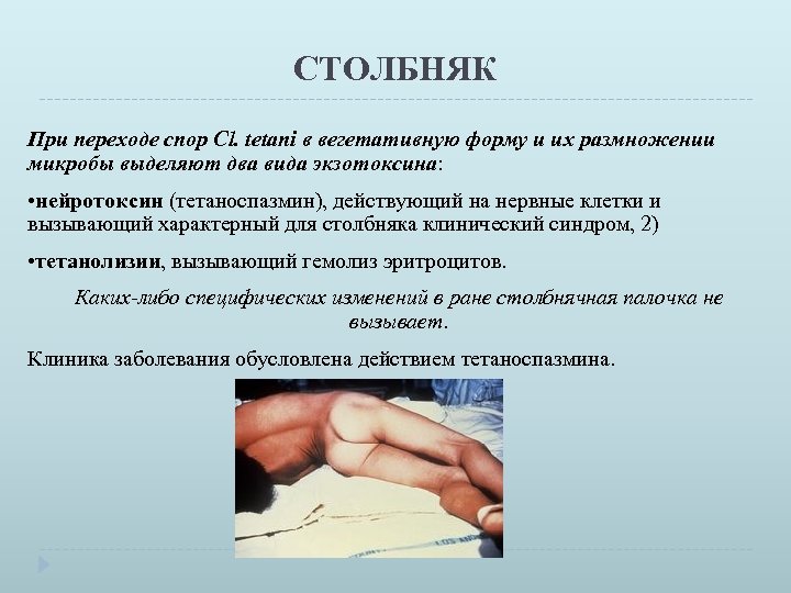 СТОЛБНЯК При переходе спор Cl. tetani в вегетативную форму и их размножении микробы выделяют