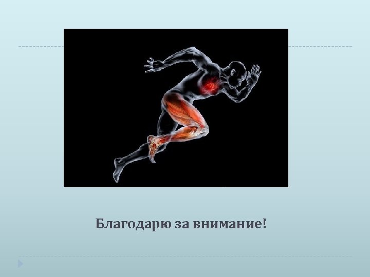 Благодарю за внимание! 