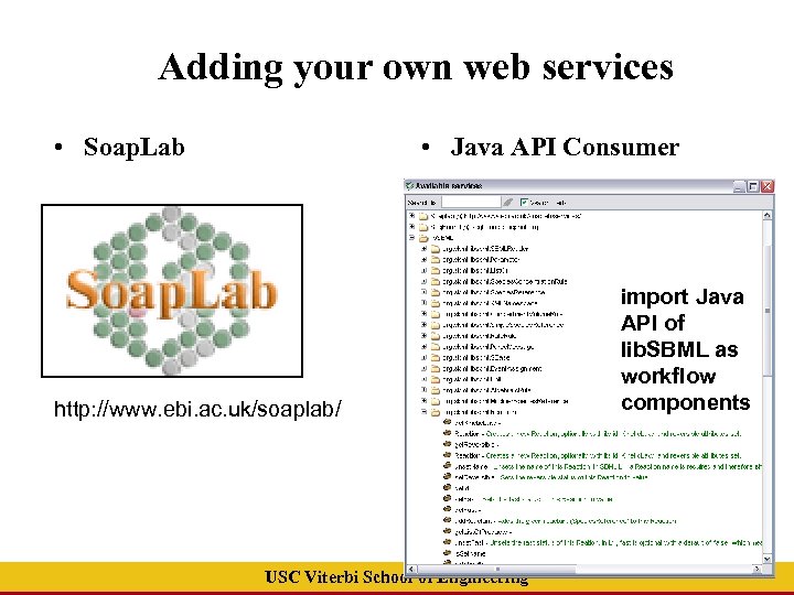 Adding your own web services • Soap. Lab • Java API Consumer http: //www.