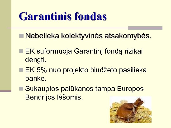 Garantinis fondas n Nebelieka kolektyvinės atsakomybės. n EK suformuoja Garantinį fondą rizikai dengti. n