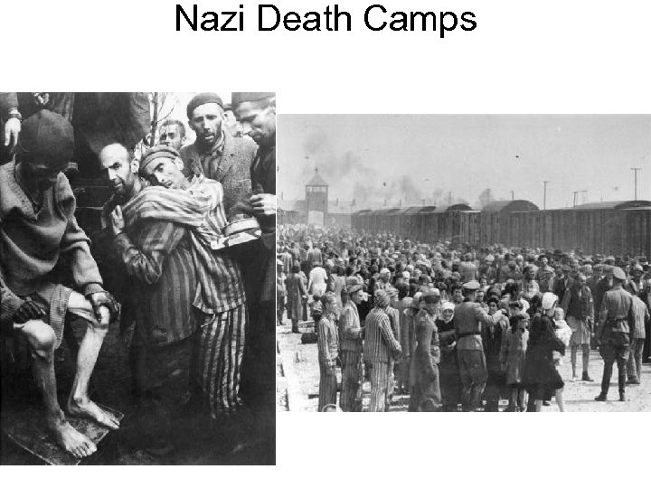 Nazi Death Camps 