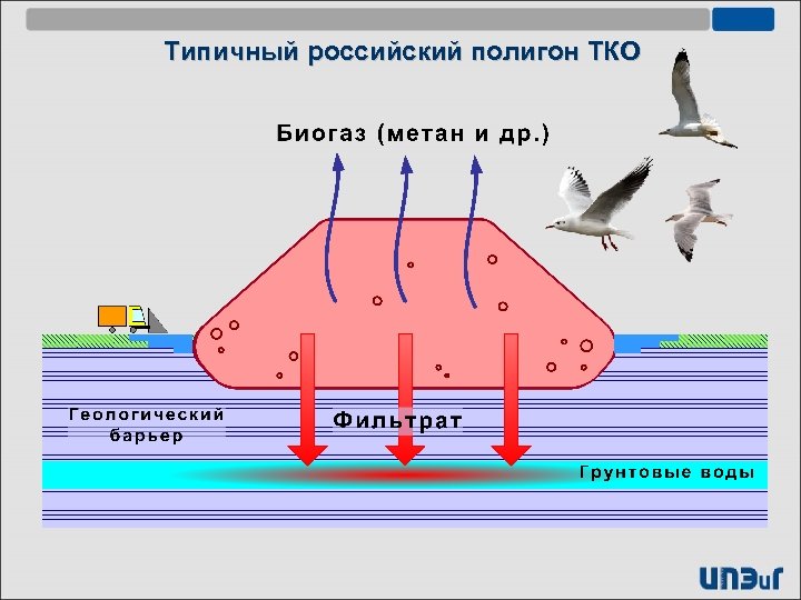 Типичный российский полигон ТКО 