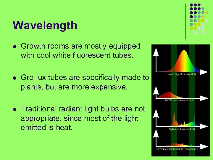 Wavelength l Growth rooms are mostly equipped with cool white fluorescent tubes. l Gro-lux