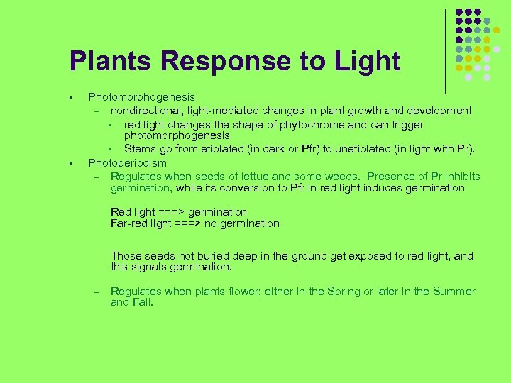 Plants Response to Light • • Photomorphogenesis – nondirectional, light-mediated changes in plant growth