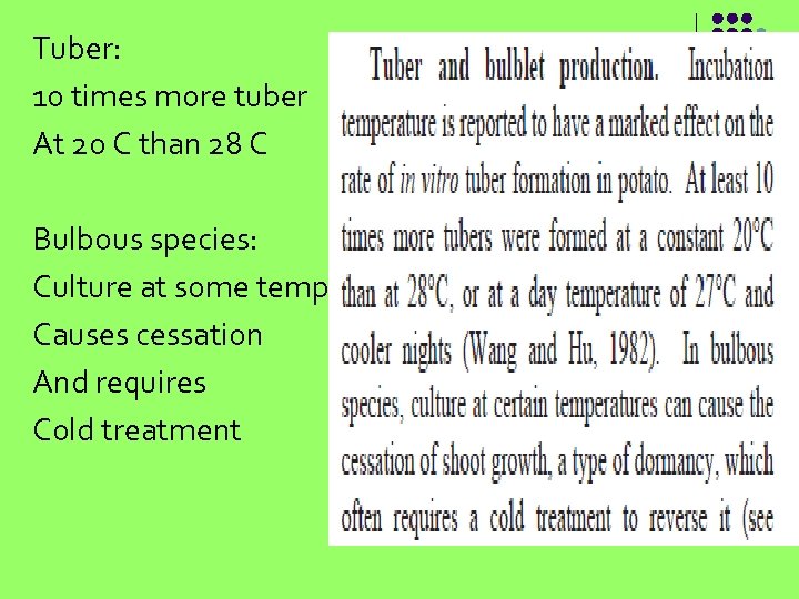 Tuber: 10 times more tuber At 20 C than 28 C Bulbous species: Culture