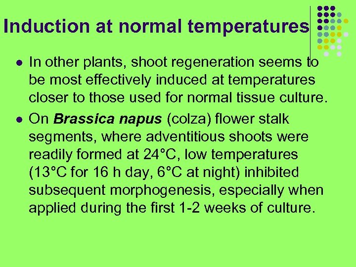 Induction at normal temperatures l l In other plants, shoot regeneration seems to be