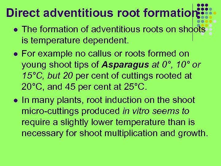 Direct adventitious root formation l l l The formation of adventitious roots on shoots